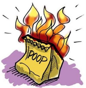 flaming_bag_of_poop_answer_7_xlarge